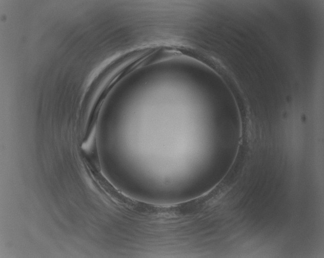 X0000052570536200507011223