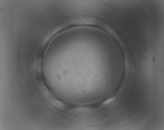 X0000052570537200507011223