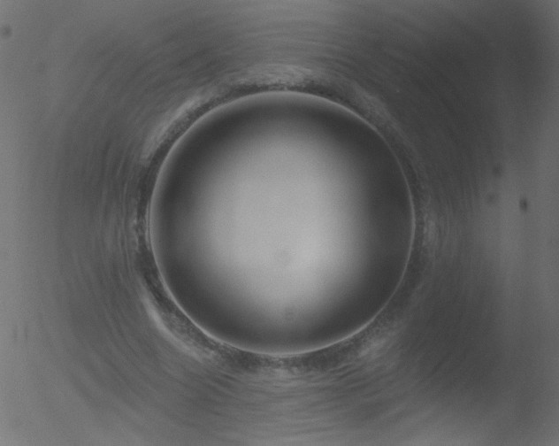 X0000052570538200507011223