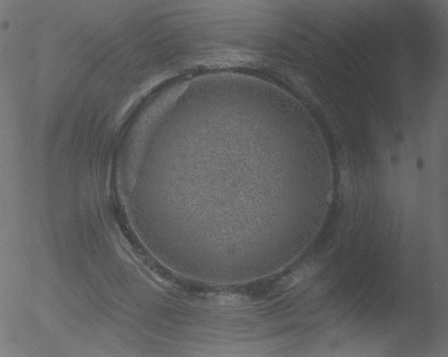 X0000052570539200507011223