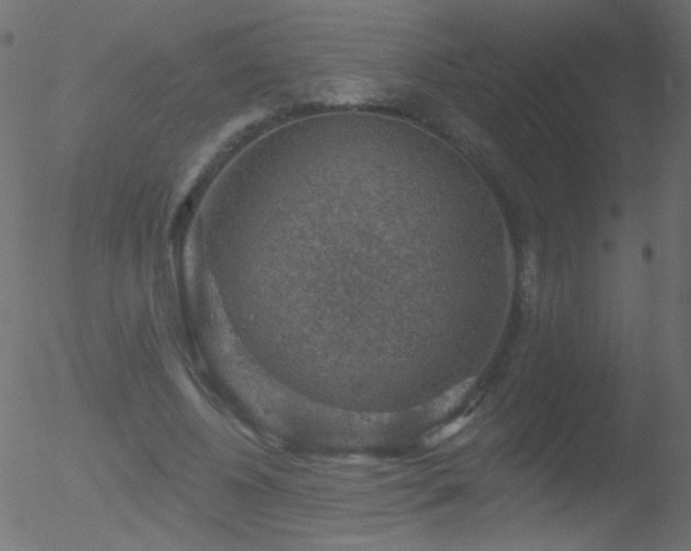 X0000052570540200507011223