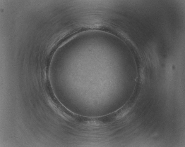 X0000052570541200507011223