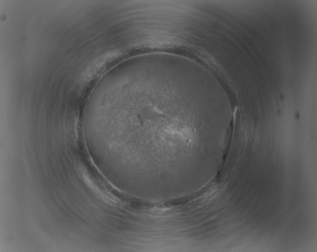 X0000052570542200507011223