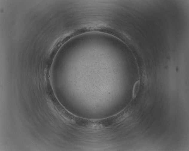 X0000052570543200507011223