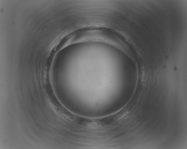 X0000052570544200507011223