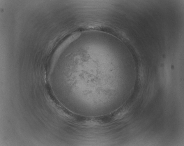 X0000052570545200507011223