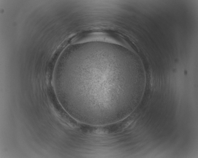 X0000052570546200507011223