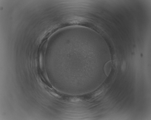 X0000052570547200507011223