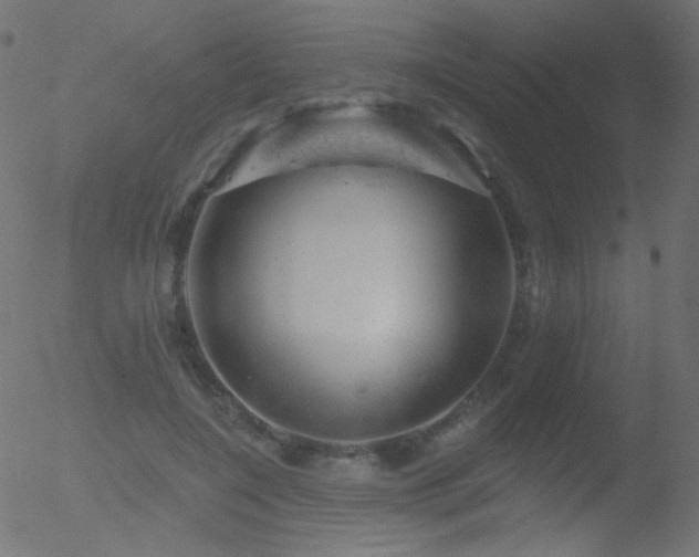 X0000052570548200507011223