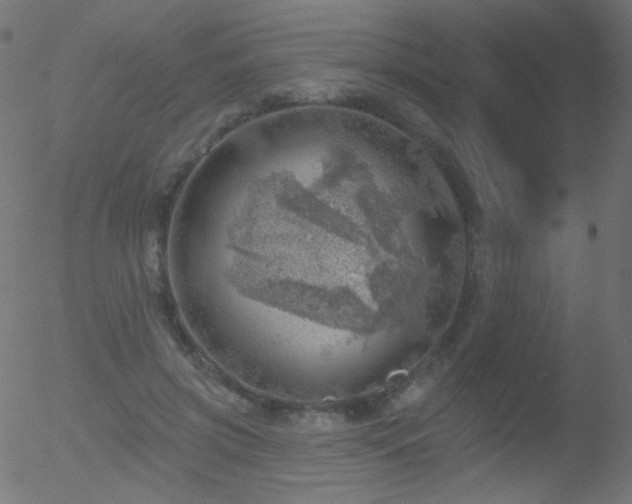 X0000052570549200507011223