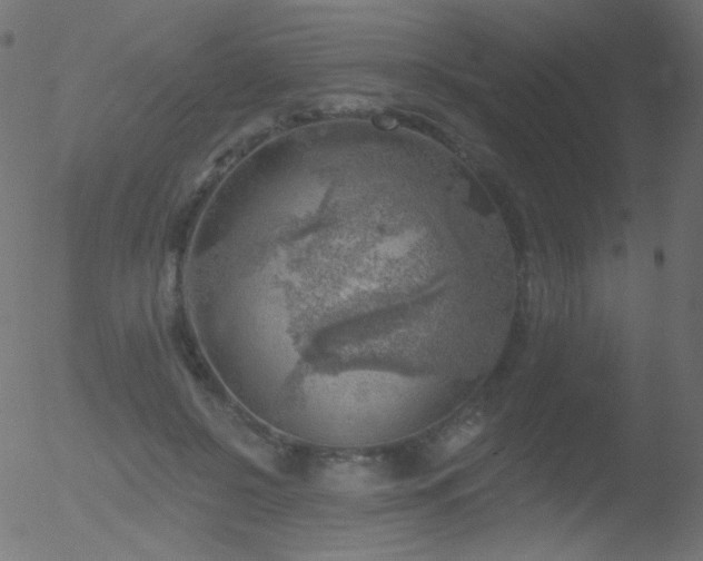 X0000052570550200507011223