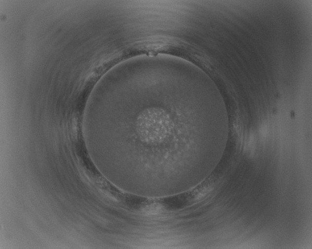 X0000052570551200507011223