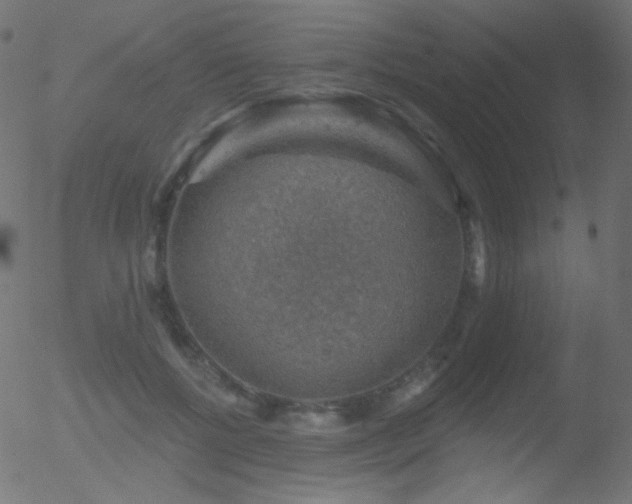 X0000052570552200507011223