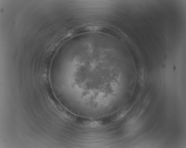 X0000052570553200507011223