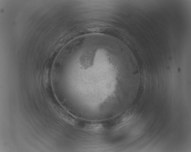 X0000052570554200507011223