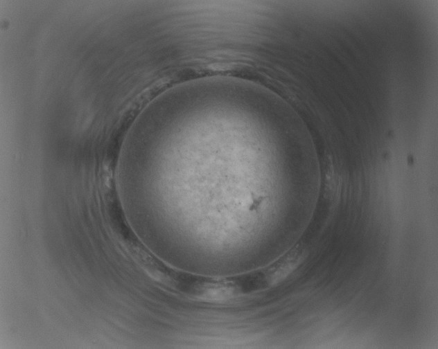 X0000052570555200507011223