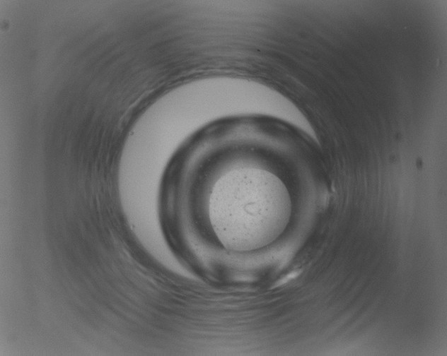 X0000052570556200507011223