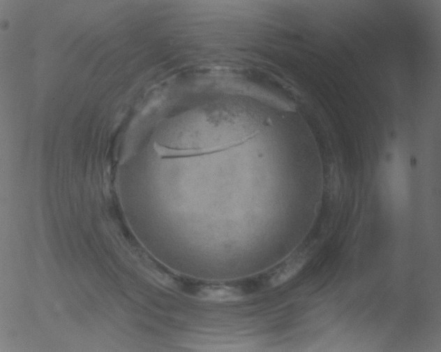 X0000052570557200507011223