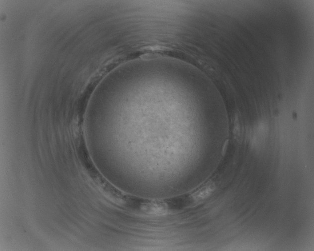 X0000052570559200507011223