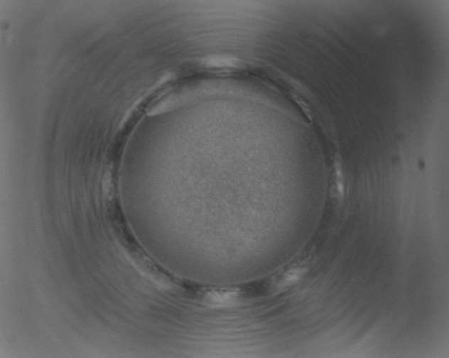 X0000052570560200507011223