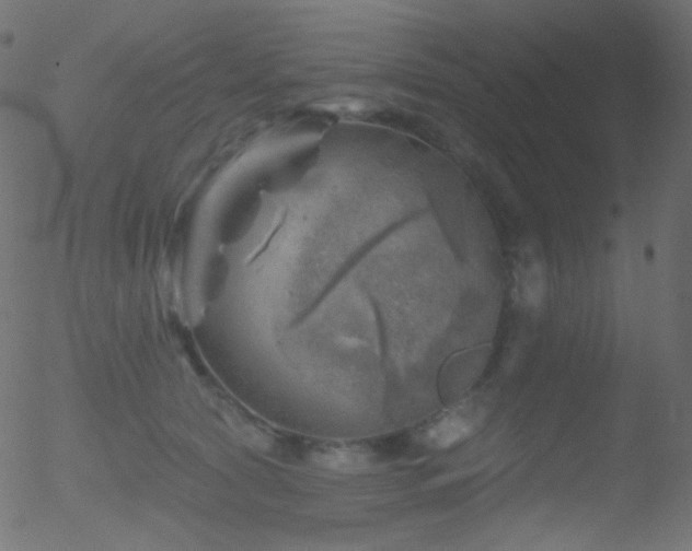 X0000052570561200507011223