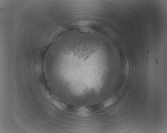 X0000052570562200507011223