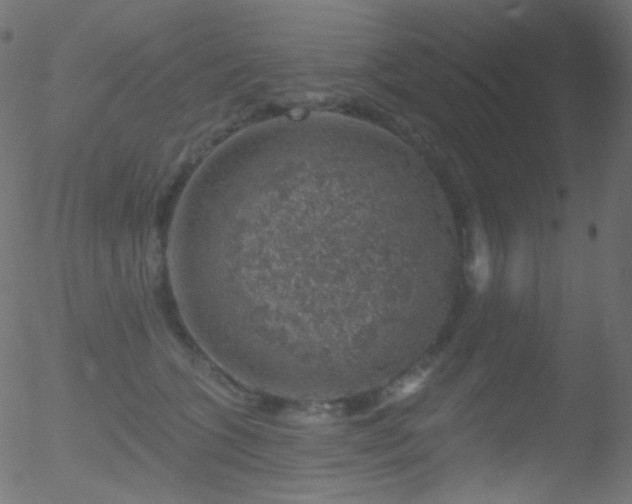 X0000052570563200507011223