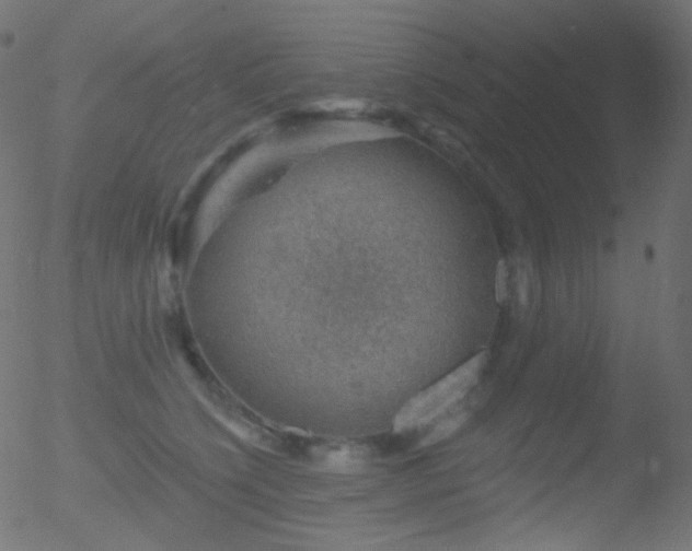 X0000052570564200507011223