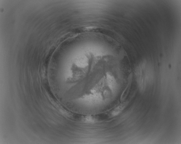 X0000052570565200507011223