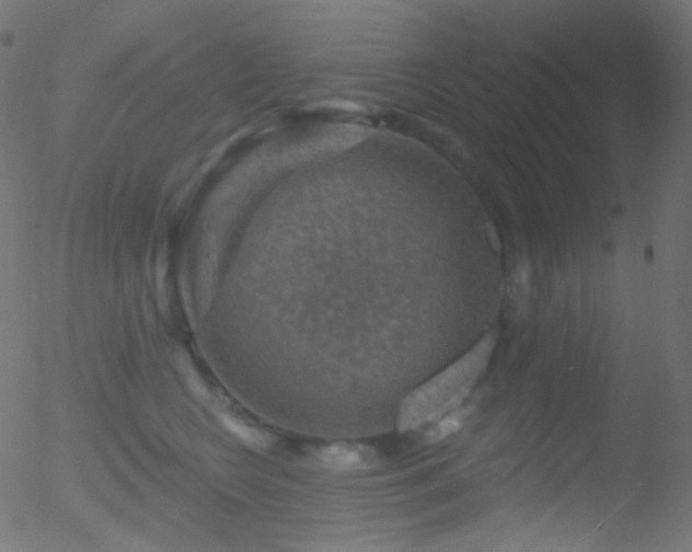 X0000052570566200507011224