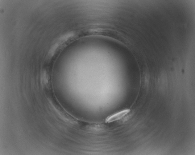 X0000052570567200507011224