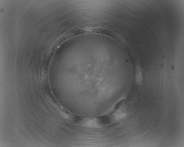 X0000052570569200507011224