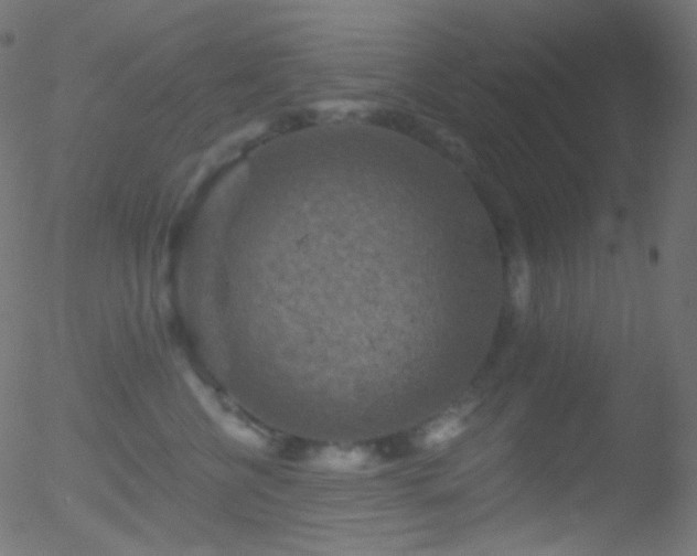 X0000052570570200507011224