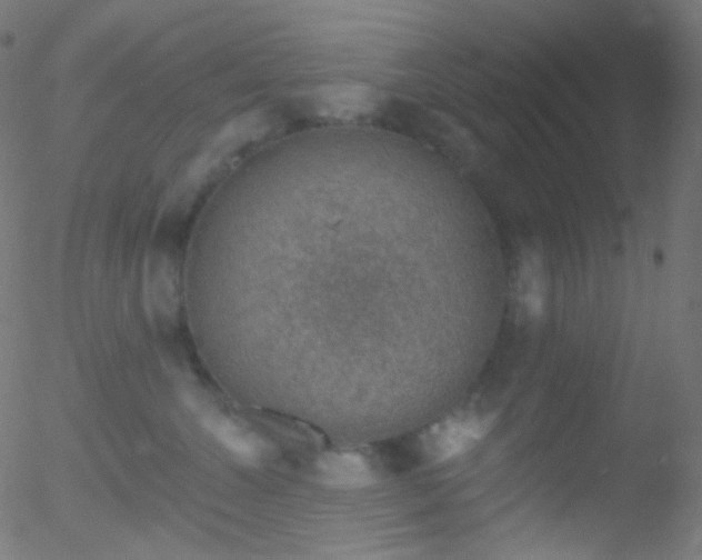 X0000052570572200507011224