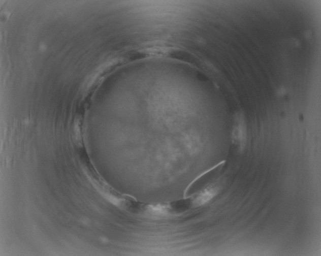 X0000052570573200507011224