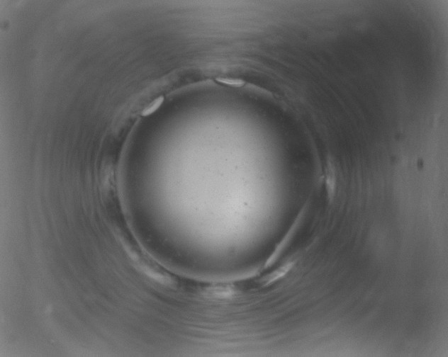 X0000052570574200507011224