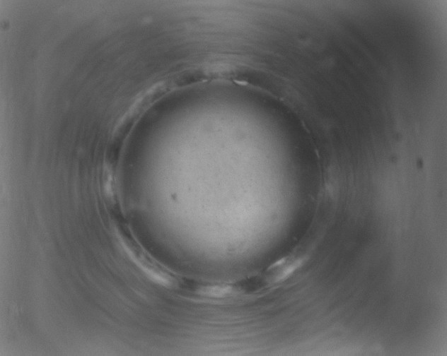 X0000052570575200507011224