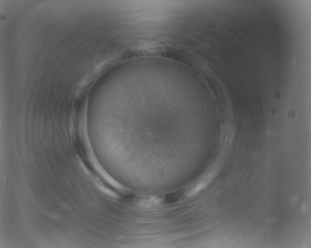 X0000052570576200507011224