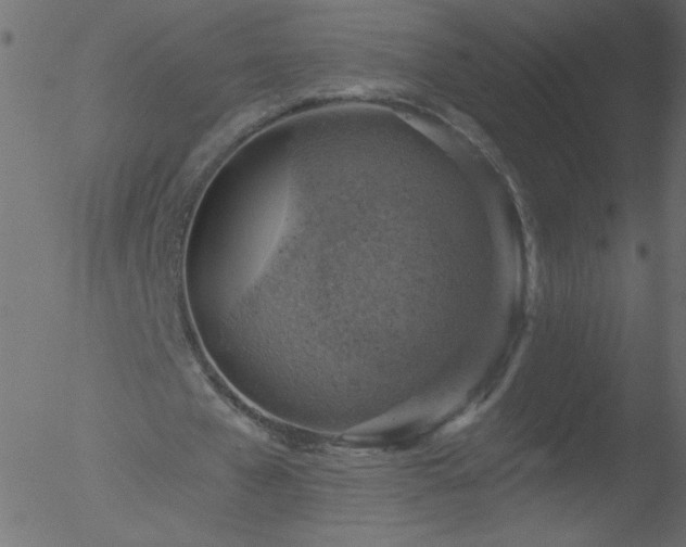 X0000052570577200507011223