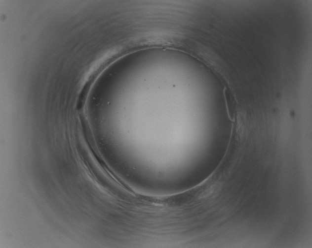 X0000052570578200507011223