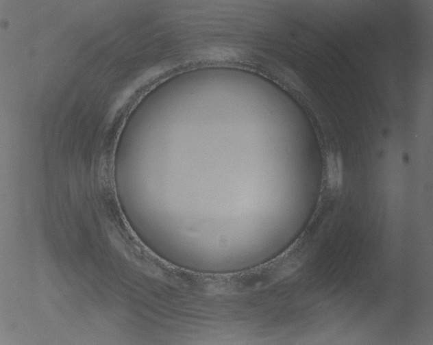 X0000052570579200507011223