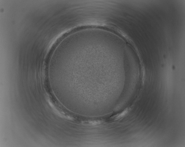 X0000052570580200507011223