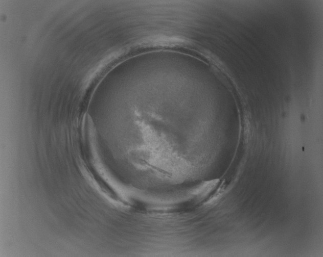 X0000052570581200507011223