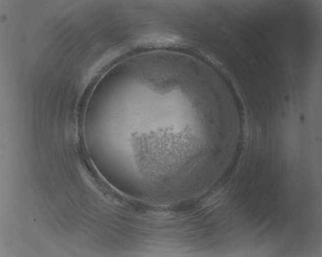 X0000052570582200507011223