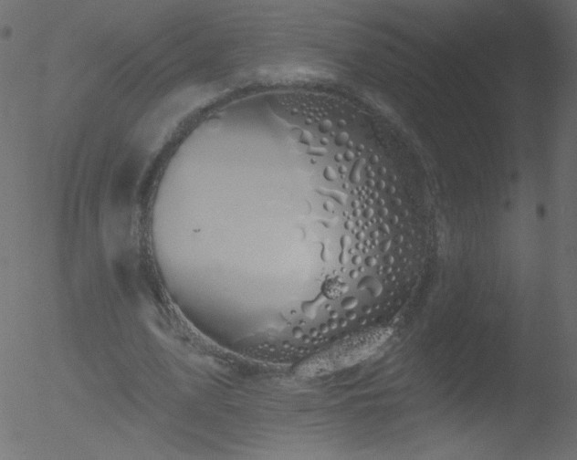 X0000052570583200507011223