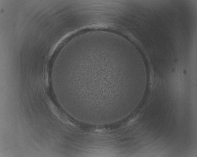 X0000052570584200507011223