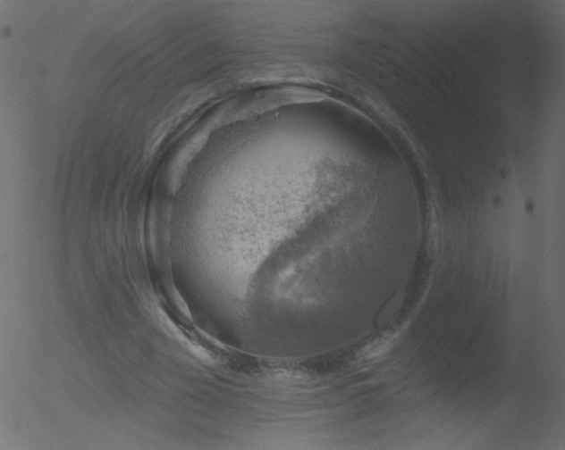 X0000052570585200507011223