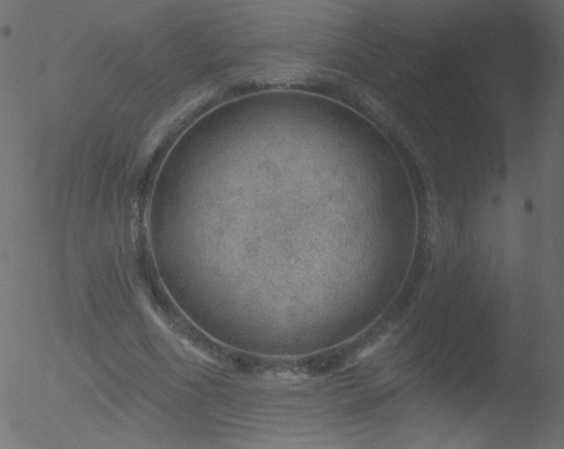 X0000052570586200507011223