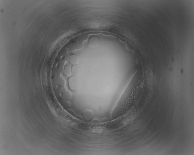 X0000052570587200507011223