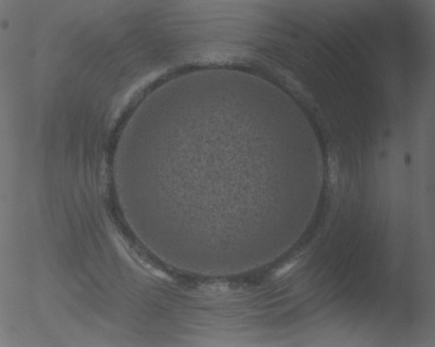 X0000052570588200507011223